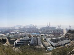 -洋山深水港