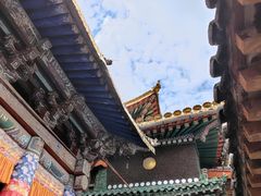 -塔尔寺菩提树