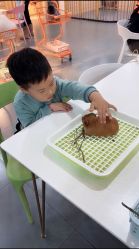 -Moni星球萌宠·小马宝莉·灵蛇·高端高阶全萌宠互动体验俱乐部(红豆国际广场店)