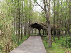 -溱湖国家湿地公园