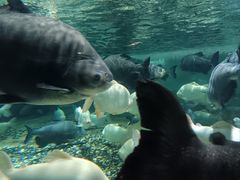 -成都浩海立方海洋公园