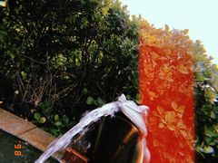 -仁爱团泊湖温泉中心
