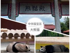 -杭州野生动物世界