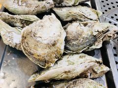 -蚝专家(北滘店)