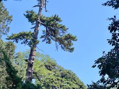 -潭柘寺景区