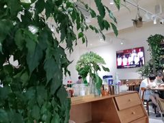 -榖屋house of flour(张江首店)