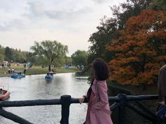 -共青国家森林公园-游客服务中心