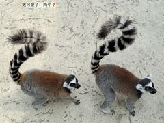 -杭州野生动物世界