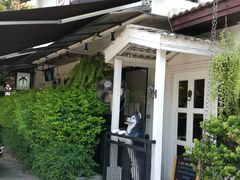 -TrueLove @ Neverland (Husky Cafe)