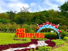 -野狸岛