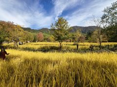 -塔川景区