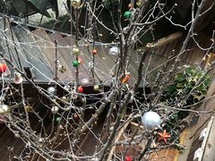 -渔太泰漓江小馆·广西融合菜(西街店)