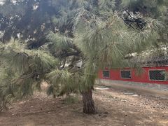 -元大都城垣遗址公园