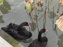 -东钱湖旅游度假区