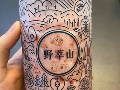-野萃山·潮汕厚果汁(十亩地店)