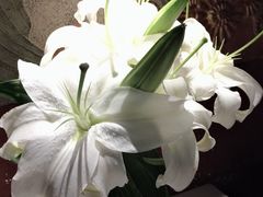 -都氏家DUSJOY(翡翠城店)