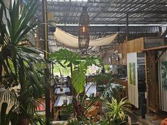 -Jungle Kitchen