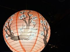 -日本料理神拉面