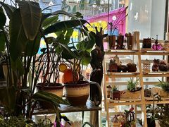 -MIO弥欧洋房西餐厅(中央大街店)