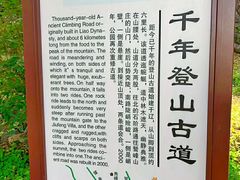 -北京鹫峰国家森林公园