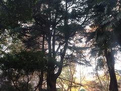 -华山儿童公园