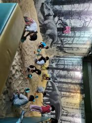 -恐龙探索乐园(磁器口店)