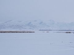 -可可托海景区