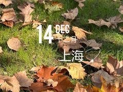 -新虹桥中心花园