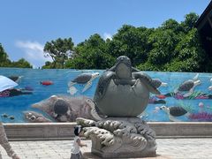 -广东惠东海龟国家级自然保护区