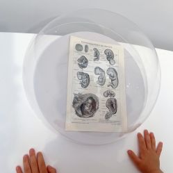 -悦子阁月子会所