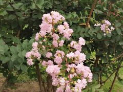 -中华世纪坛-停车场