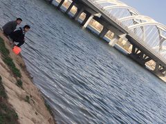 -灞河西岸滨河公园