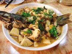 -煲来饱去冷水鱼