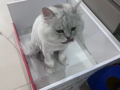 -宠颐生美多格动物医院骨科·影像科新北转诊中心(汉江路店)