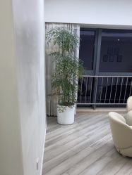 -HEYAN荷妍专业脱毛连锁机构