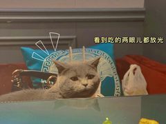 -吱咖啡西式简餐