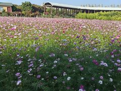 -新地休闲农场