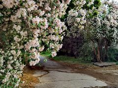 -国家植物园南园