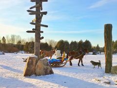 -北极村旅游风景区
