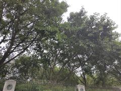 -番禺广场(市桥街道)