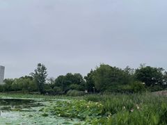 -澹台湖公园