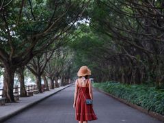 -大湾区中央湿地公园