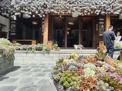 -寂照庵