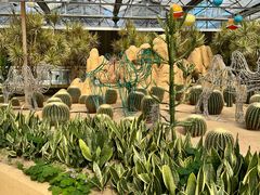 -南宫五洲植物乐园