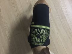 -宠颐生宠物医院外科·内科·皮肤科·影像科(石龙店)