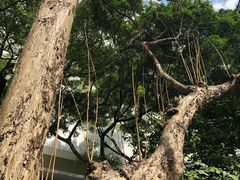 -香港大学