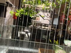 -杏花村水席楼·洛阳水席(老城十字街店)