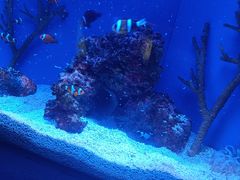 -上海海洋水族馆