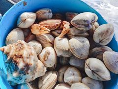 -东疆理想海岸沙滩景区