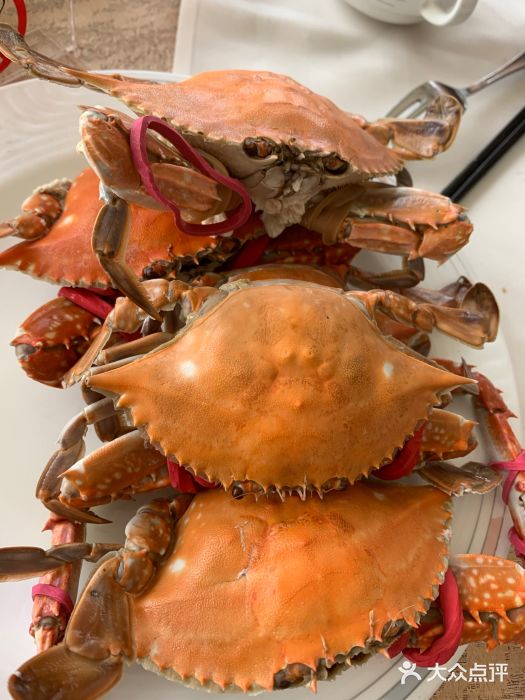 汇泉王朝大饭店-旋转餐厅(南海路店)图片